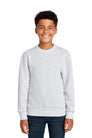 Port & Co Youth Core Fleece Crewneck Sweatshirt